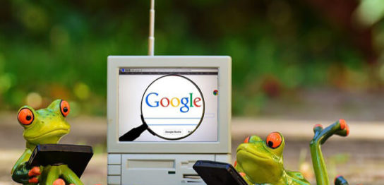 Googleとカエル